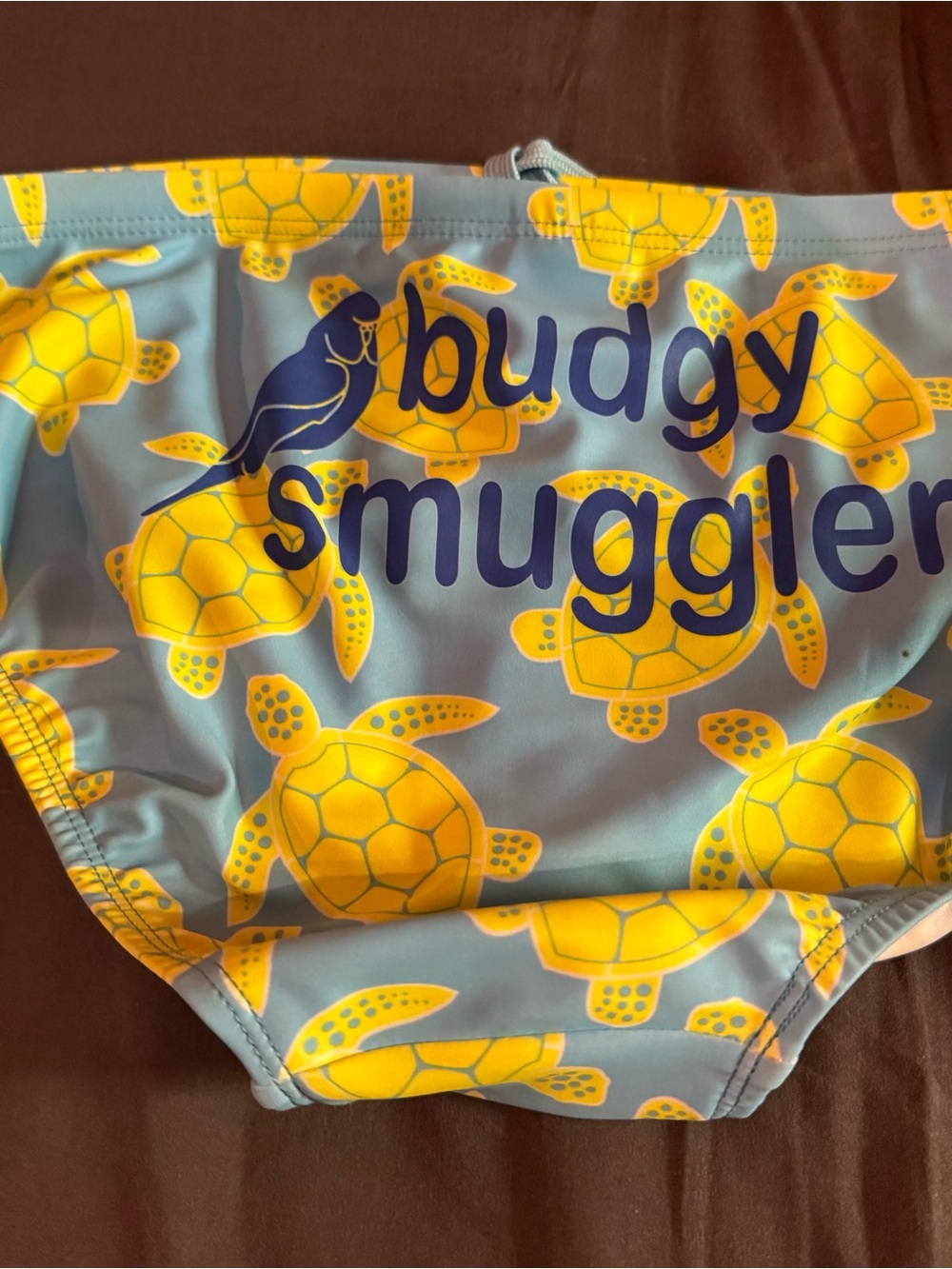 Men’s Blue & Yellow Turtle Swim Briefs